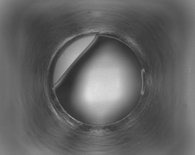 X0000081390540200701111209