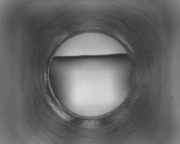 X0000081390541200701111209