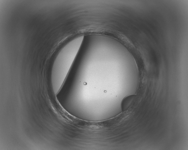 X0000081390542200701111209