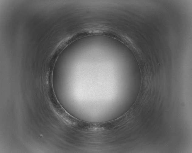 X0000081390543200701111209