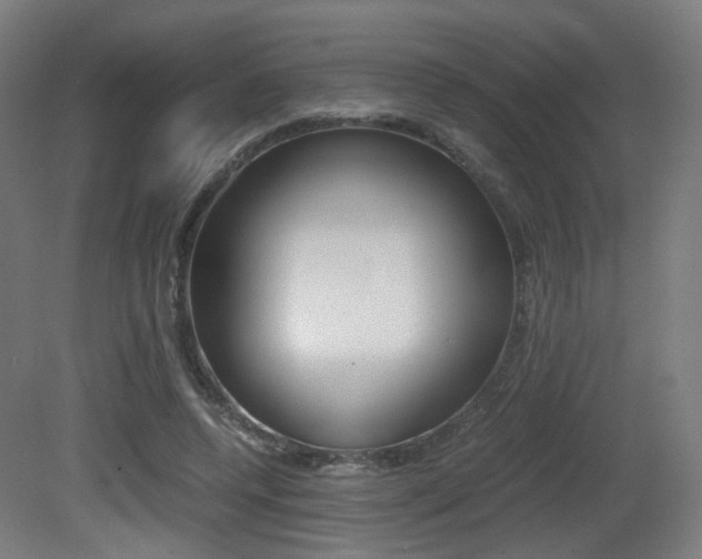 X0000081390544200701111209