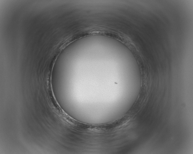 X0000081390545200701111209