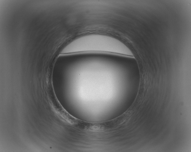 X0000081390546200701111209