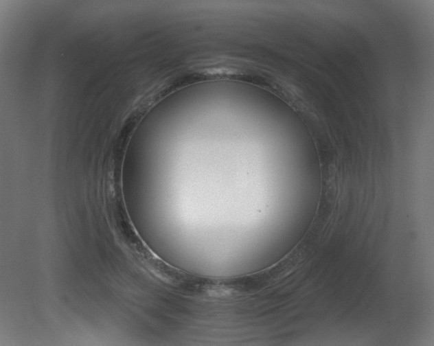 X0000081390547200701111209