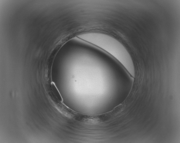 X0000081390548200701111209