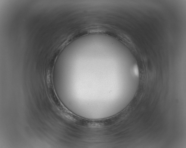 X0000081390549200701111209
