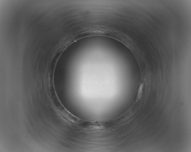 X0000081390552200701111209