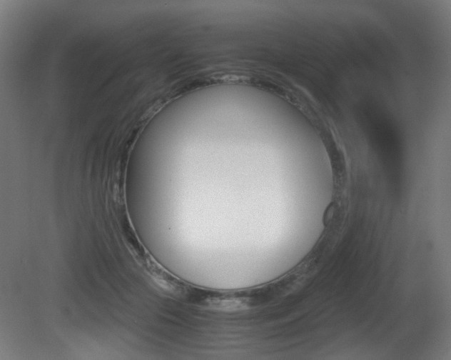X0000081390553200701111209