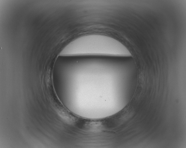 X0000081390554200701111209