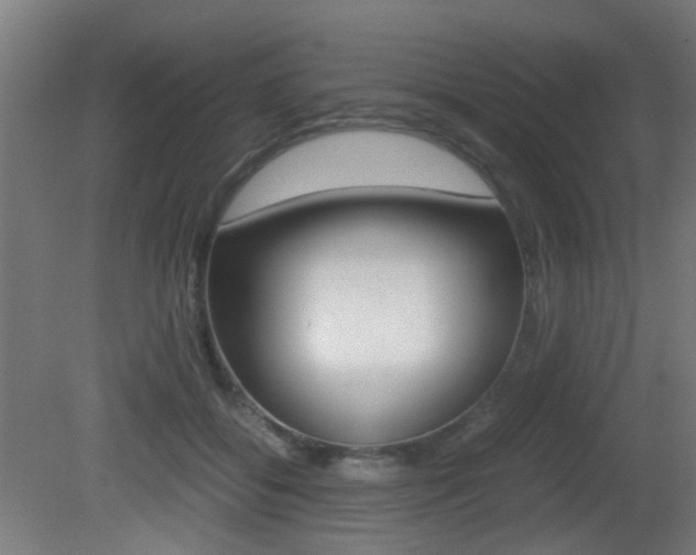 X0000081390556200701111209