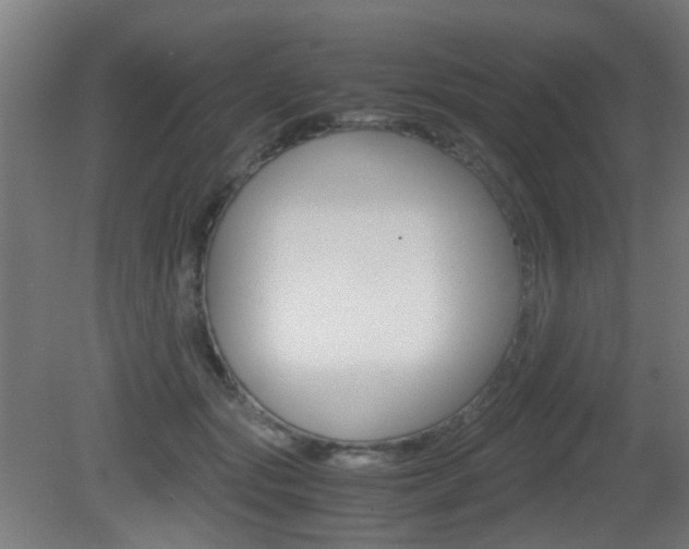 X0000081390557200701111209