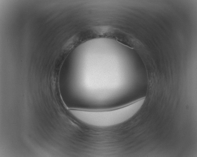 X0000081390558200701111210