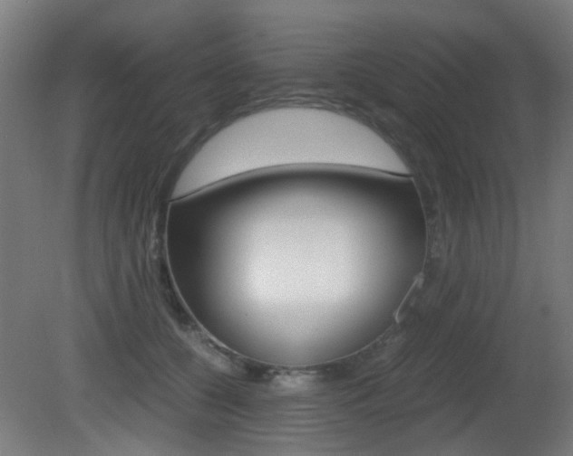 X0000081390560200701111210