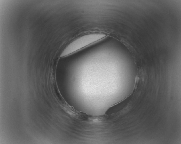 X0000081390564200701111210