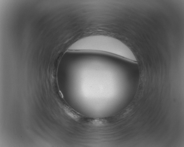 X0000081390566200701111210