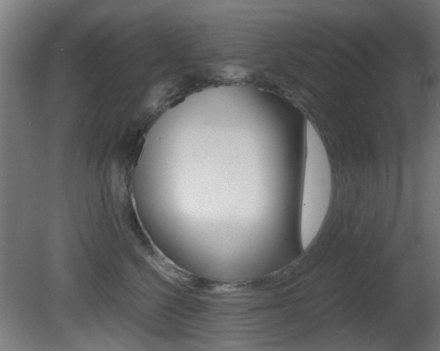 X0000081390568200701111210