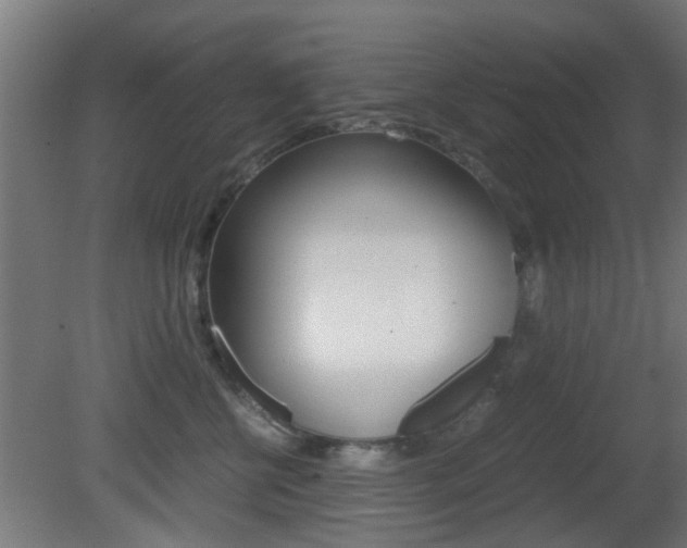 X0000081390570200701111210