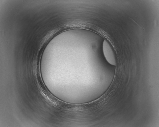 X0000081390578200701111209