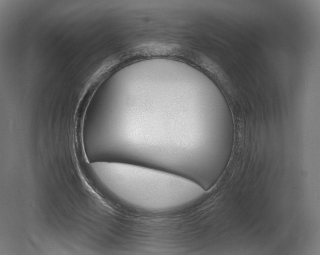 X0000081390582200701111209