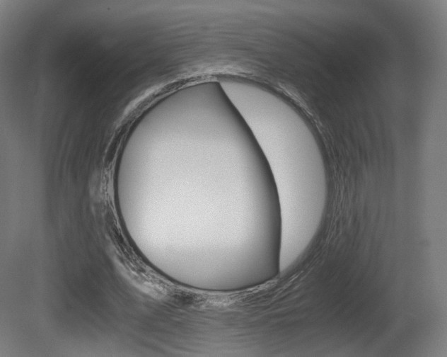 X0000081390583200701111209