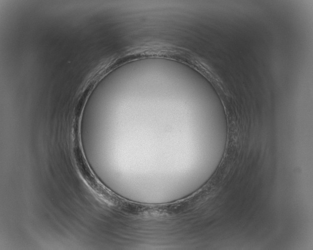 X0000081390586200701111209