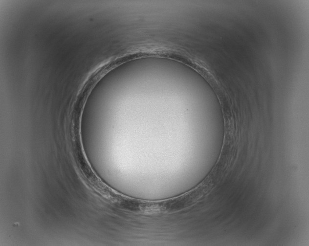 X0000081390587200701111209