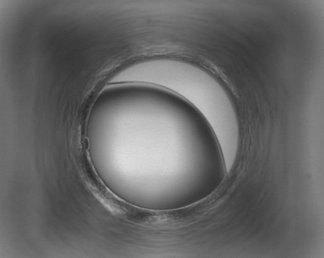X0000081390589200701111209