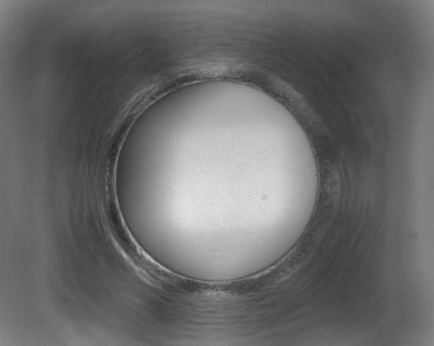X0000081390590200701111209