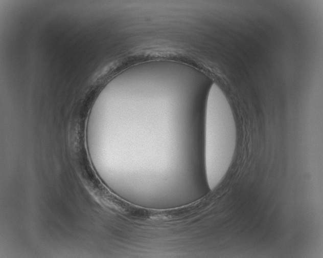 X0000081390591200701111209