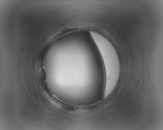 X0000081390593200701111209