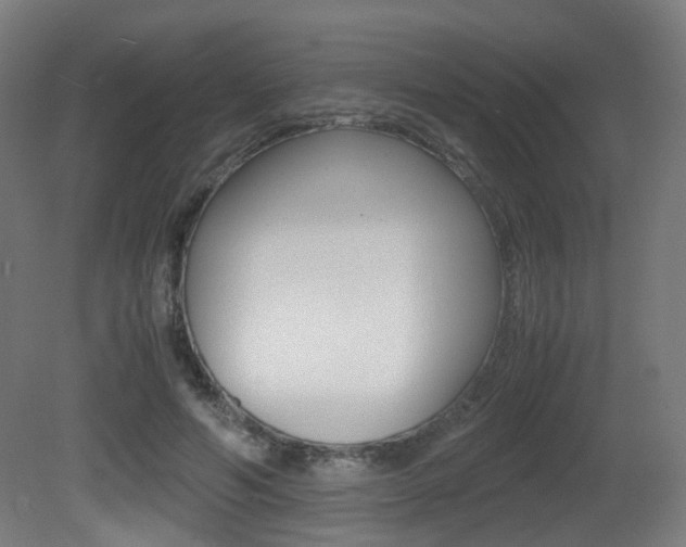 X0000081390594200701111209