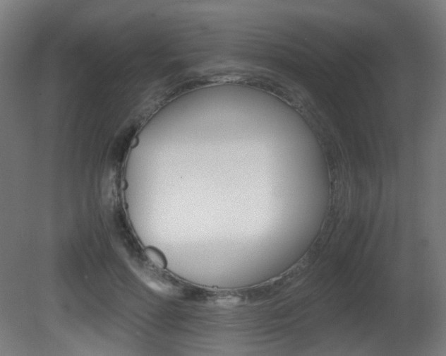 X0000081390598200701111209
