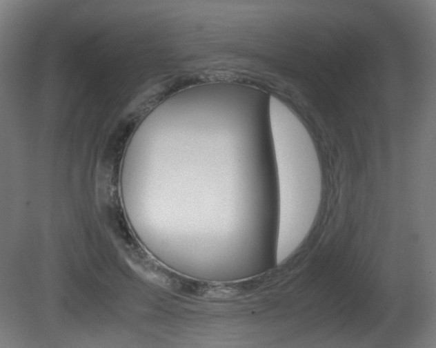 X0000081390599200701111209