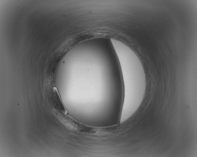 X0000081390601200701111209
