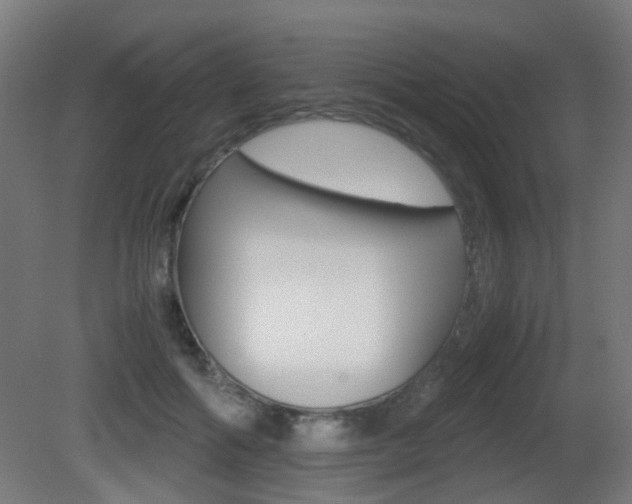 X0000081390602200701111209