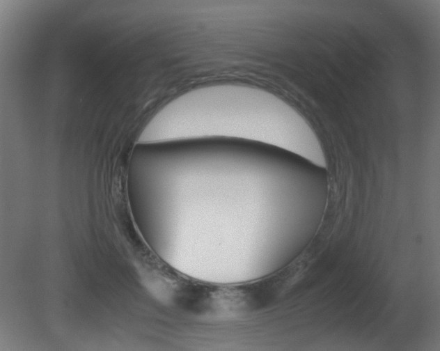 X0000081390603200701111209