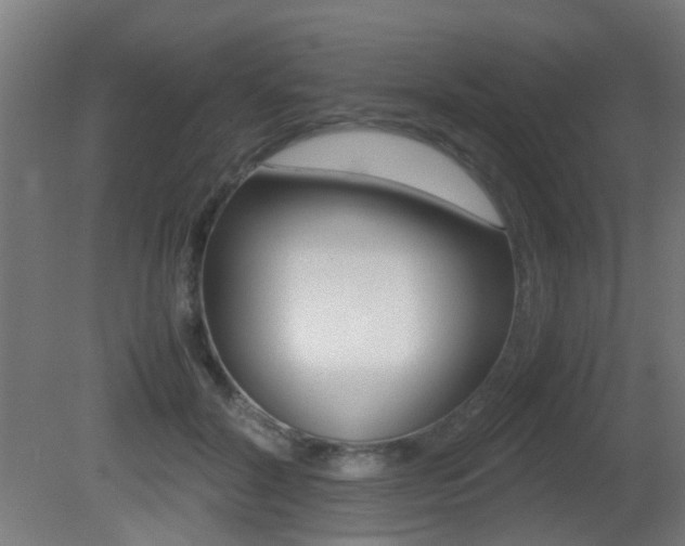 X0000081390604200701111209