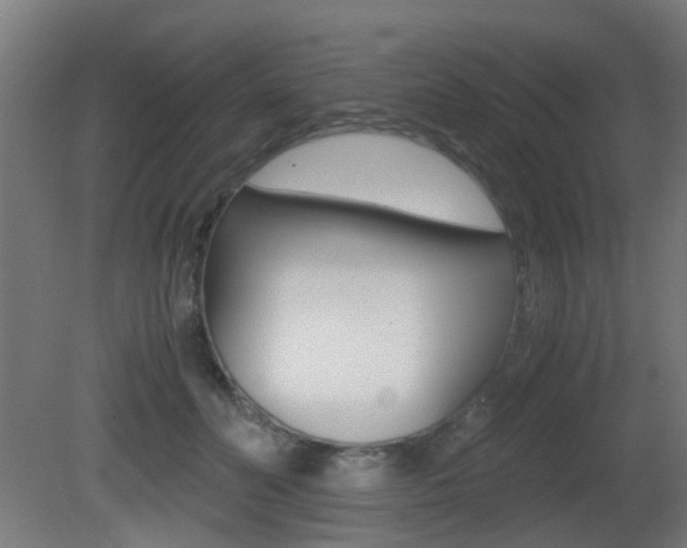 X0000081390606200701111209