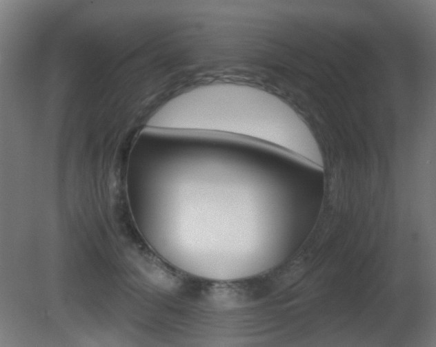 X0000081390608200701111208