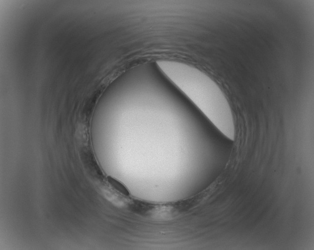 X0000081390609200701111208