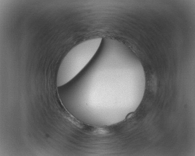 X0000081390610200701111208