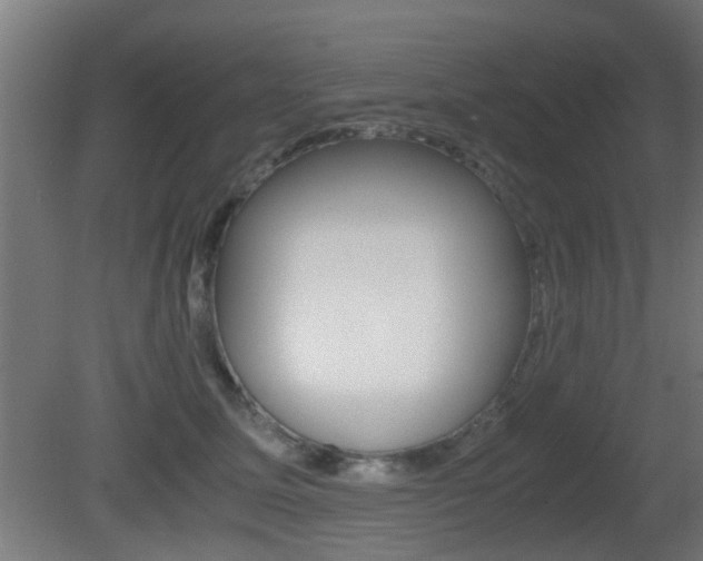 X0000081390611200701111208