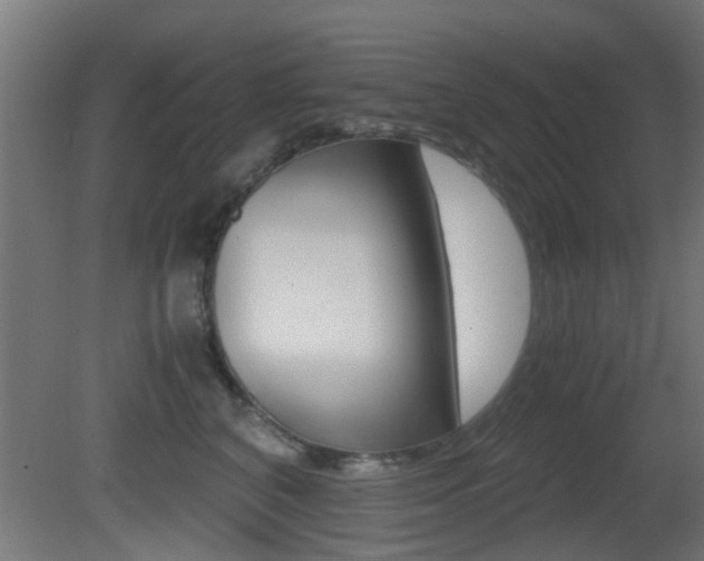 X0000081390616200701111208