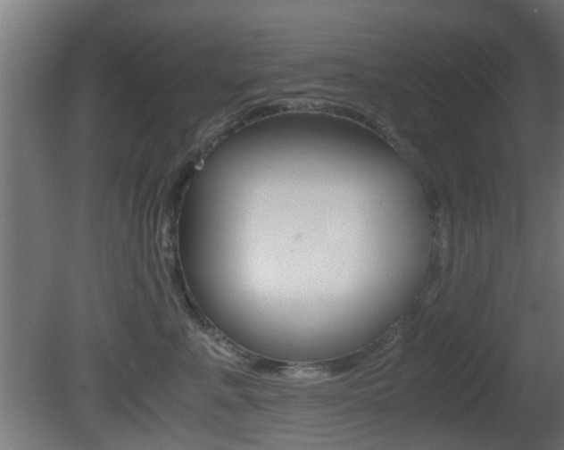 X0000081390619200701111208