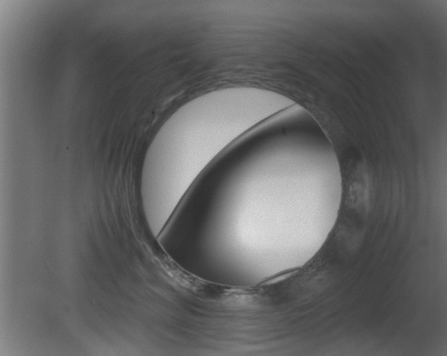 X0000081390620200701111208