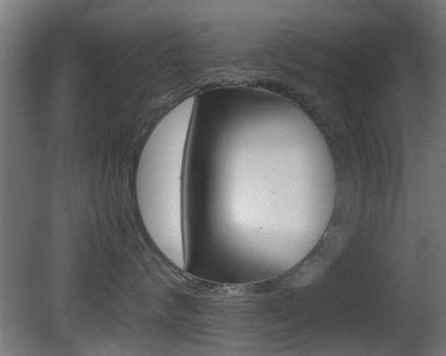 X0000081390624200701111208