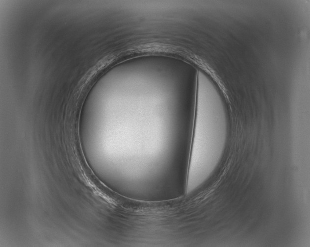 X0000081390625200701111207