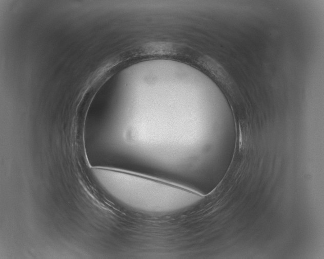 X0000081390627200701111207