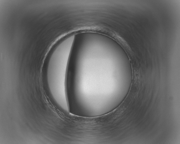 X0000081390628200701111207