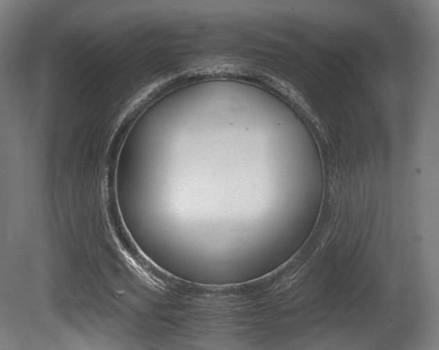 X0000081390629200701111207